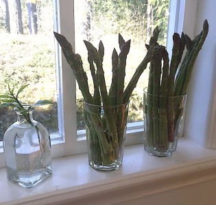 Hur förvarar man sparris?